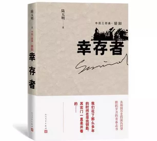 丁長林章亮雨最新章節(jié)閱讀，探尋故事的深度與魅力