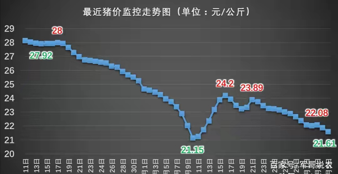 最新豬價行情分析