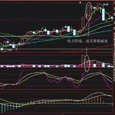 最新牛散持股一覽表，揭示市場主力動向