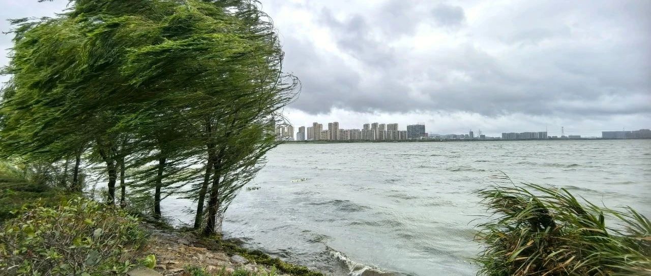 蘇州今天臺(tái)風(fēng)最新消息，風(fēng)雨中的城市動(dòng)態(tài)與應(yīng)對(duì)措施